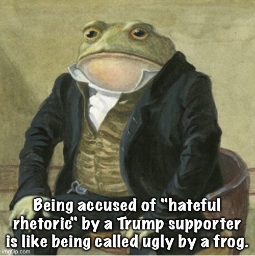 Trumpers put out the most hateful rhetoric, hands down. | Being accused of "hateful rhetoric" by a Trump supporter is like being called ugly by a frog. | image tagged in formal frog | made w/ Imgflip meme maker