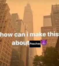how can i make this about Peaches Blank Meme Template