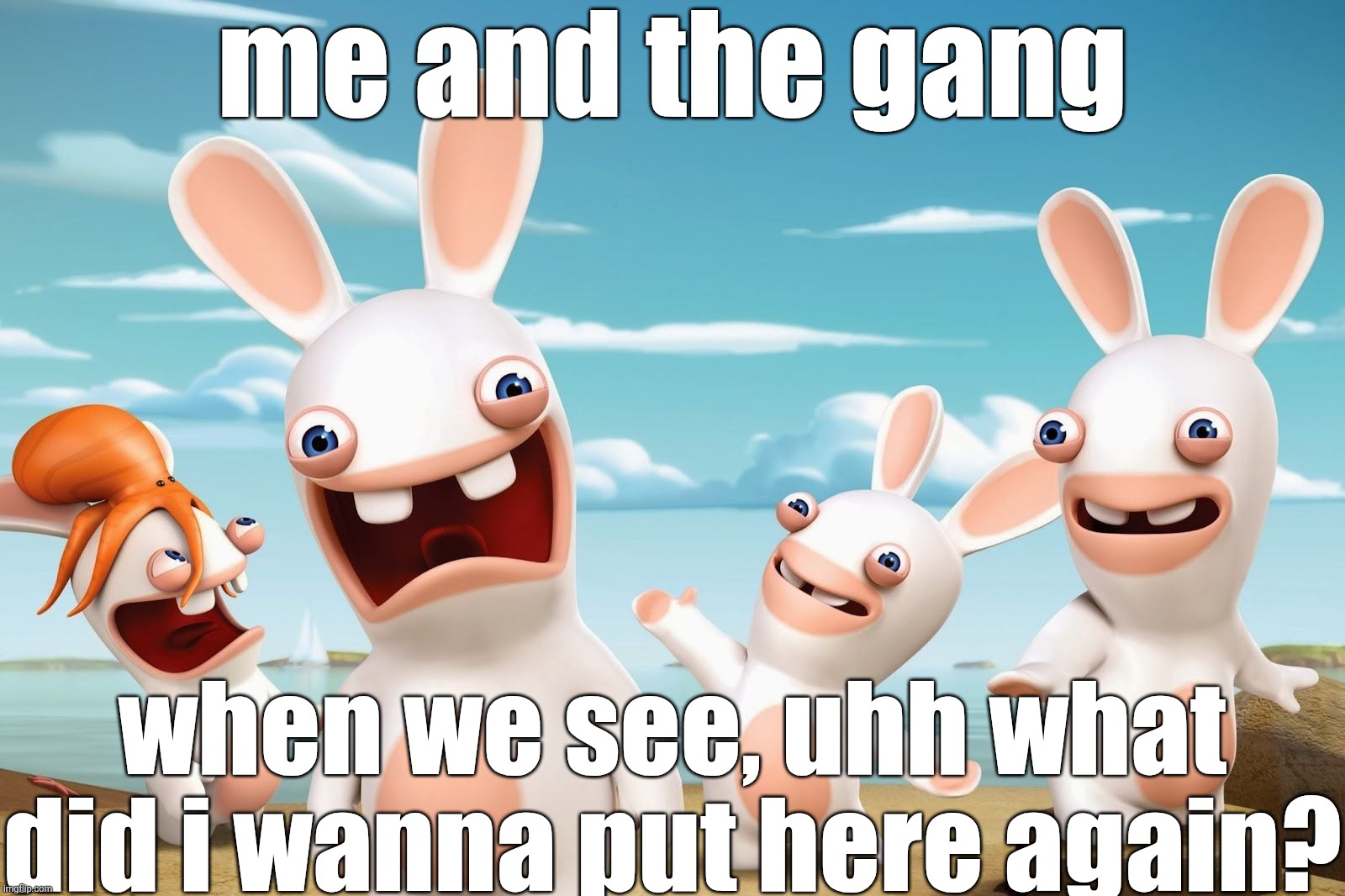 aaaaaaaaaaaaaaaaaaaaaaaaaa 5 | me and the gang; when we see, uhh what did i wanna put here again? | image tagged in rabbids invasion,idk,too lazy to make tags,jhxskw,cosmog | made w/ Imgflip meme maker