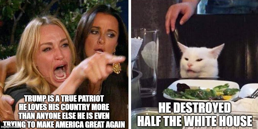Smudge the cat | he destroyed half the white house; Trump is a true patriot He loves his country more than anyone else he is even trying to make america great again | image tagged in smudge the cat,donald trump,funny memes,satire,president trump,white house | made w/ Imgflip meme maker