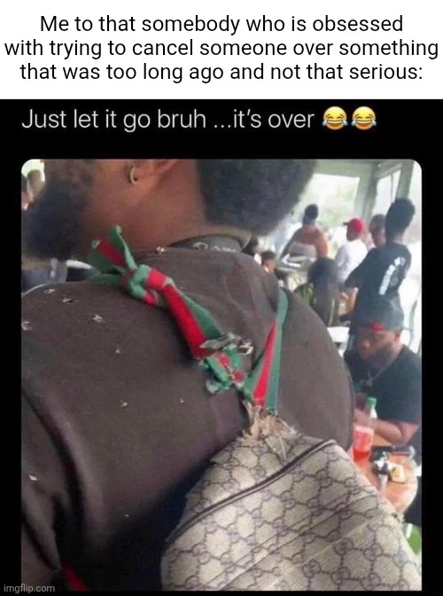 Let it go | Me to that somebody who is obsessed with trying to cancel someone over something that was too long ago and not that serious: | image tagged in just let it go bruh it's over | made w/ Imgflip meme maker