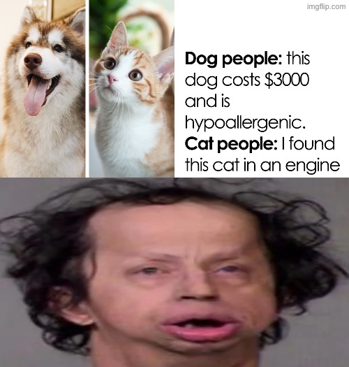 Dog People Vs Cat People | image tagged in cats,dogs,funny animals,dog vs cat,reactions,comparison | made w/ Imgflip meme maker