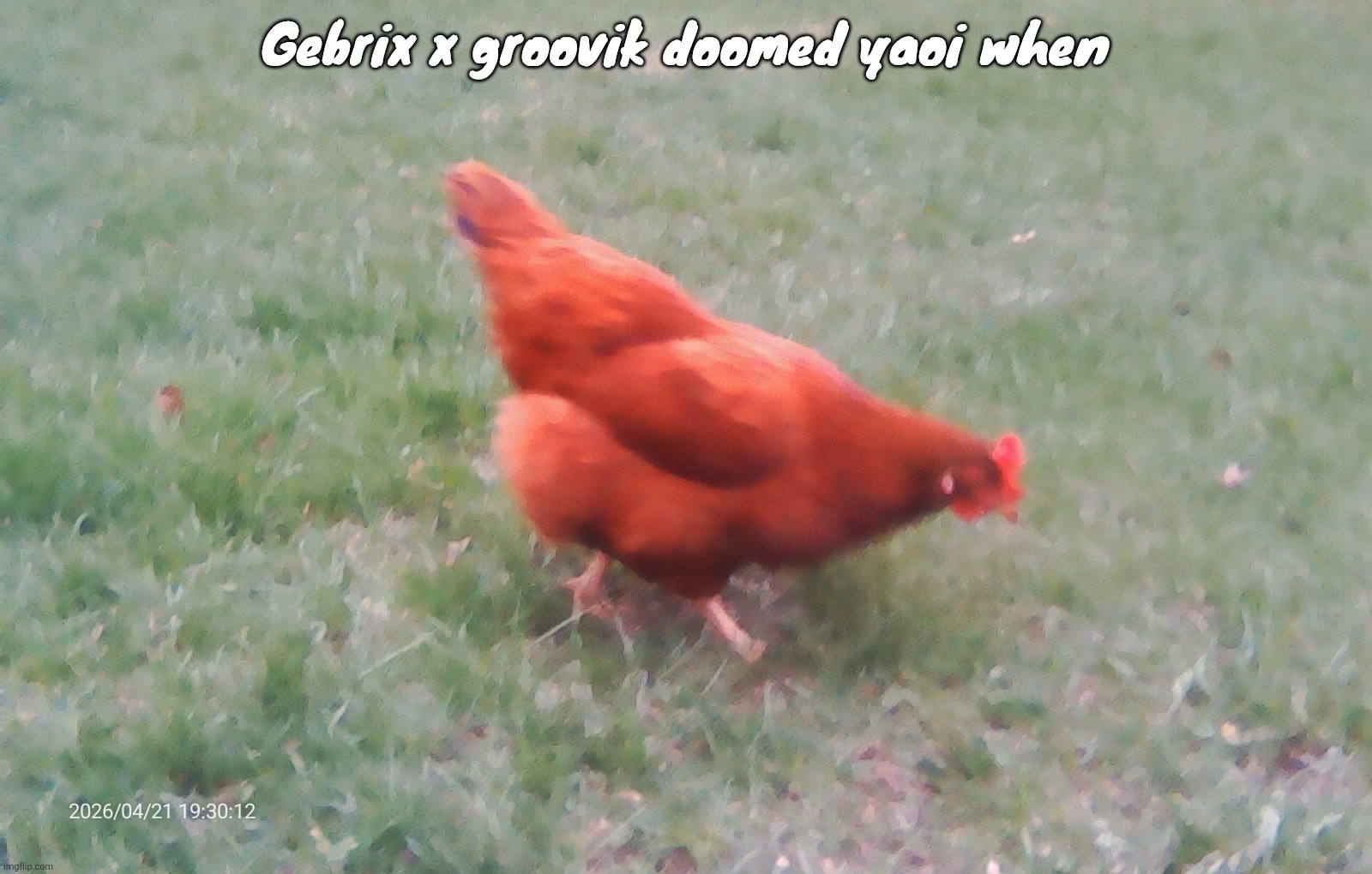 2026-04-21-19-30-12.jpg | Gebrix x groovik doomed yaoi when | image tagged in 2026-04-21-19-30-12 jpg | made w/ Imgflip meme maker