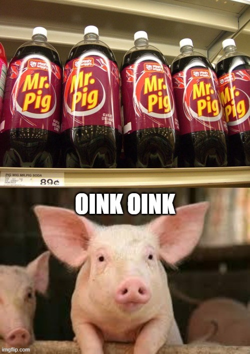 Mr. Pig? | oink oink | image tagged in pig,funny,memes | made w/ Imgflip meme maker