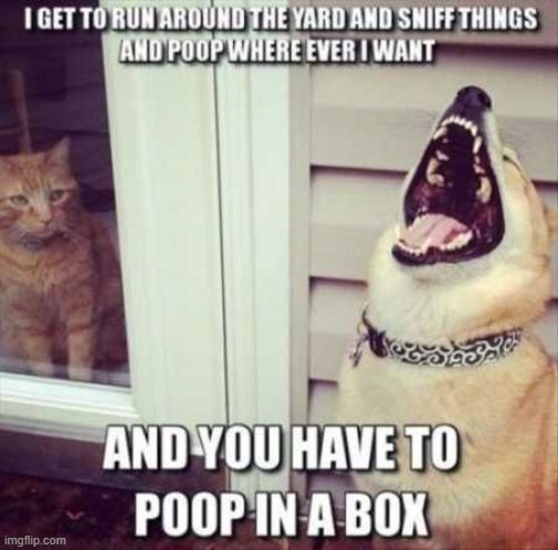 Where You Poop | image tagged in repost | made w/ Imgflip meme maker