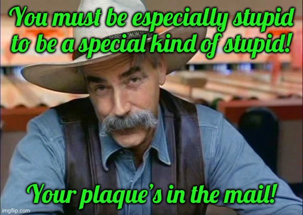 Sam Elliott special kind of stupid | You must be especially stupid to be a special kind of stupid! Your plaque’s in the mail! | image tagged in sam elliott special kind of stupid | made w/ Imgflip meme maker