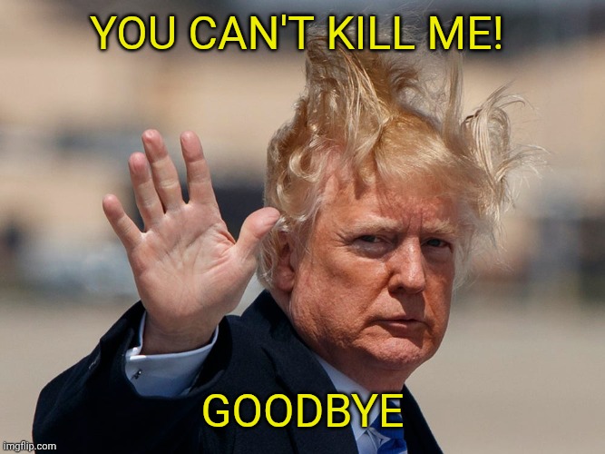 Bye Bye Trump | You can't kill me! Goodbye | image tagged in bye bye trump | made w/ Imgflip meme maker