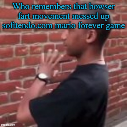 Brickfighter | Who remembers that bowser fart movement messed up softtendo.com mario forever game | image tagged in brickfighter | made w/ Imgflip meme maker