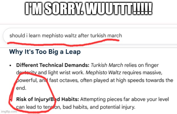 Don't learn Liszt after Mozart!!! | I'm sorry. WUUTTT!!!!! | image tagged in classical music,piano | made w/ Imgflip meme maker