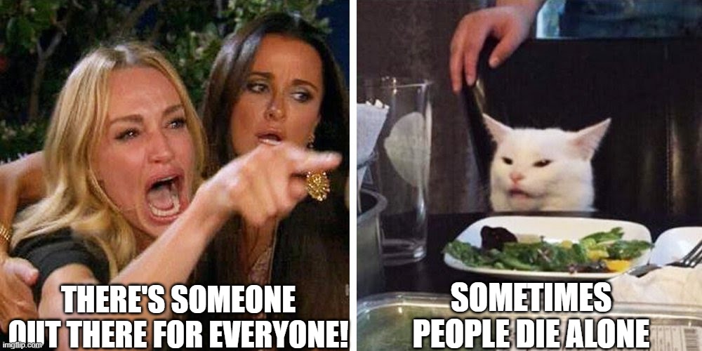 Smudge the cat | There's someone out there for everyone! Sometimes people die alone | image tagged in smudge the cat | made w/ Imgflip meme maker