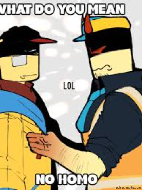 no homo | image tagged in no homo | made w/ Imgflip meme maker