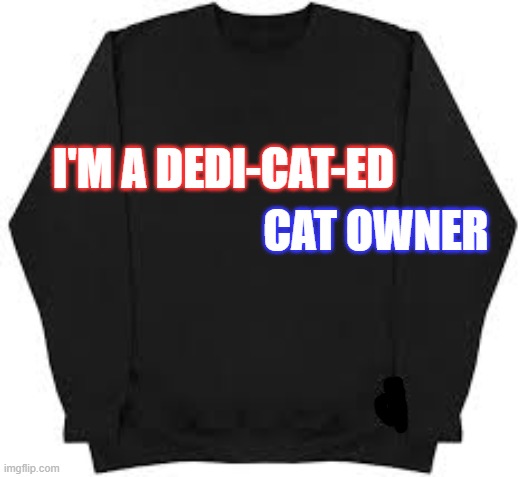 My sweatshirts says that I'm a "dedicated cat owner". | I'm a dedi-cat-ed; cat owner | image tagged in cat,kittens,play on words,funny,humor,owner | made w/ Imgflip meme maker