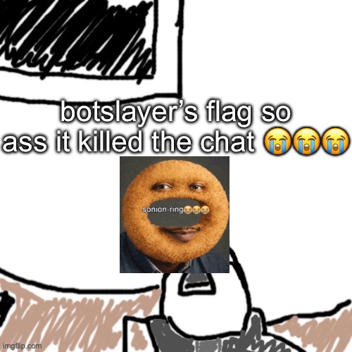 The Aggressive Combatant | botslayer’s flag so ass it killed the chat 😭😭😭 | image tagged in the aggressive combatant | made w/ Imgflip meme maker