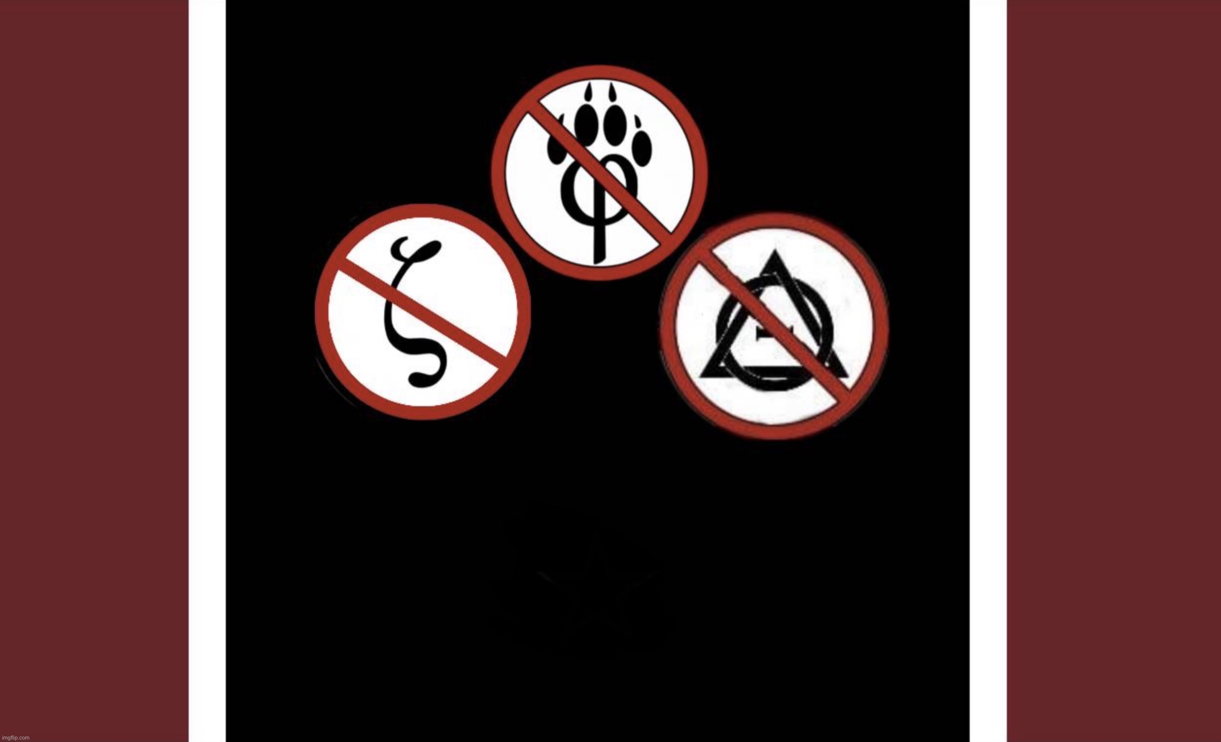 opinion on this anti furry flag? | image tagged in img_2697 jpeg | made w/ Imgflip meme maker