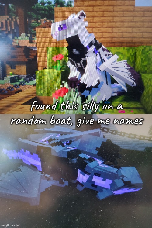 Image Title | found this silly on a random boat, give me names | made w/ Imgflip meme maker
