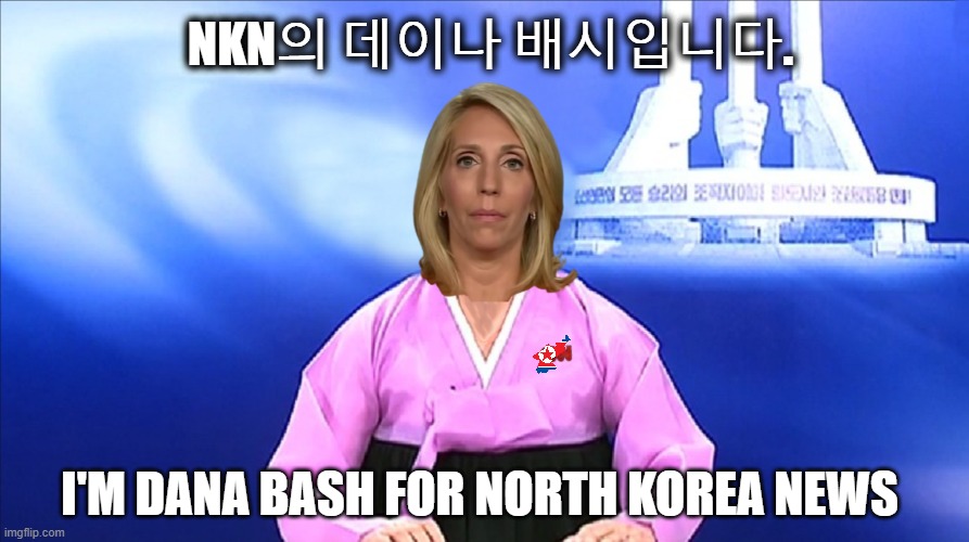 Moonlighting? | NKN의 데이나 배시입니다. i'm dana bash for north korea news | image tagged in dana bash,politics lol,funny,translation fail,shithole | made w/ Imgflip meme maker
