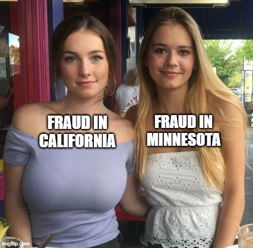 Different size breasts | Fraud in Minnesota; Fraud in California | image tagged in different size breasts,democrats,fraud,california,minnesota | made w/ Imgflip meme maker