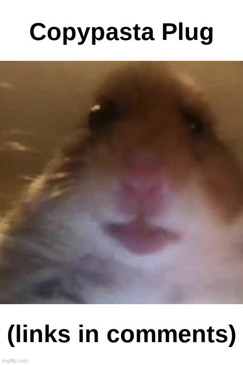 Copypasta Plug Template Coming Soon | Copypasta Plug; (links in comments) | image tagged in hampter | made w/ Imgflip meme maker