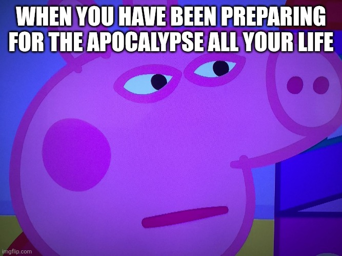 Me fr | When you have been preparing for the apocalypse all your life | image tagged in what did you say peppa pig | made w/ Imgflip meme maker