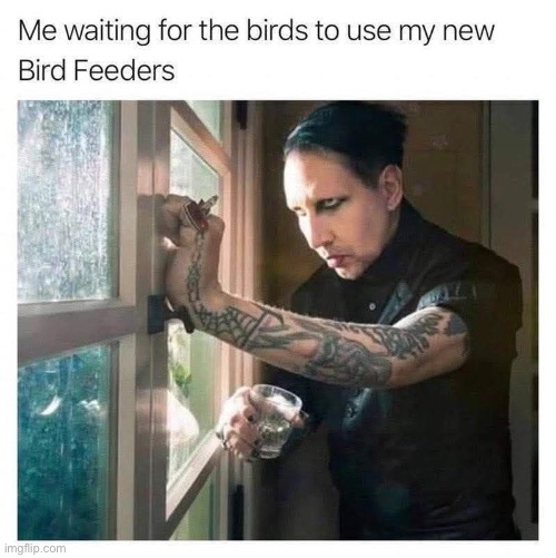 In an English country garden | image tagged in birb,birds,punk,goth | made w/ Imgflip meme maker