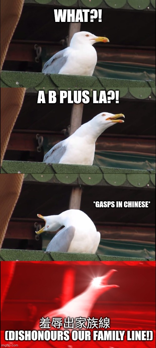 its not Chinese its actually cantonese but cantonese and Chinese are the same lol :) | what?! a b plus la?! *gasps in Chinese*; 羞辱出家族線      (dishonours our family line!) | image tagged in memes,inhaling seagull,high expectations asian father,asian,mom | made w/ Imgflip meme maker