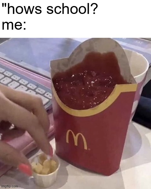 this template was made by flick7 | "hows school?
me: | image tagged in ketchup with a side of fries,memes,flick7,ketchup,fries,wrong | made w/ Imgflip meme maker