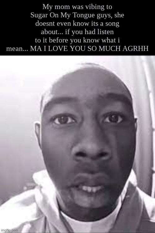 The rain has gotten calmer! Thanks for the blessings! | My mom was vibing to Sugar On My Tongue guys, she doesnt even know its a song about... if you had listen to it before you know what i mean... MA I LOVE YOU SO MUCH AGRHH | image tagged in tyler the creator doorbell | made w/ Imgflip meme maker