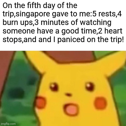 trip | On the fifth day of the trip,singapore gave to me:5 rests,4 burn ups,3 minutes of watching someone have a good time,2 heart stops,and and I paniced on the trip! | image tagged in memes,surprised pikachu | made w/ Imgflip meme maker