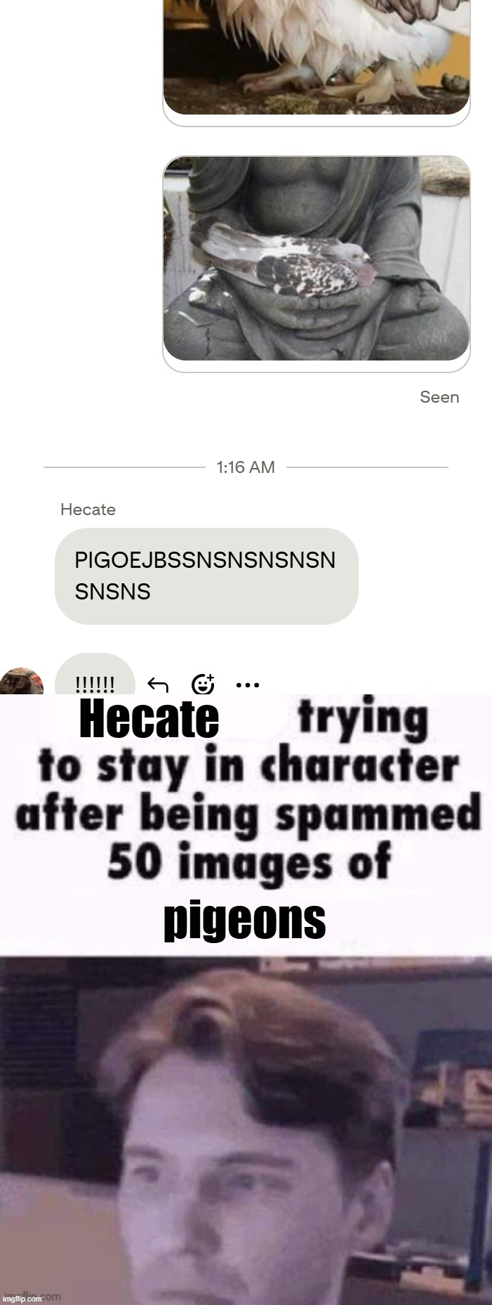 Hecate; pigeons | image tagged in x trying to stay in character | made w/ Imgflip meme maker