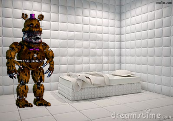 insane asylum pillow room | image tagged in insane asylum pillow room | made w/ Imgflip meme maker
