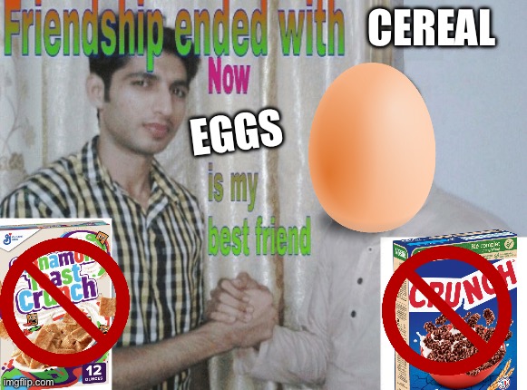 Eggs are just better | Cereal; Eggs | image tagged in friendship ended with x now y is my best friend,join the_egg_cult | made w/ Imgflip meme maker