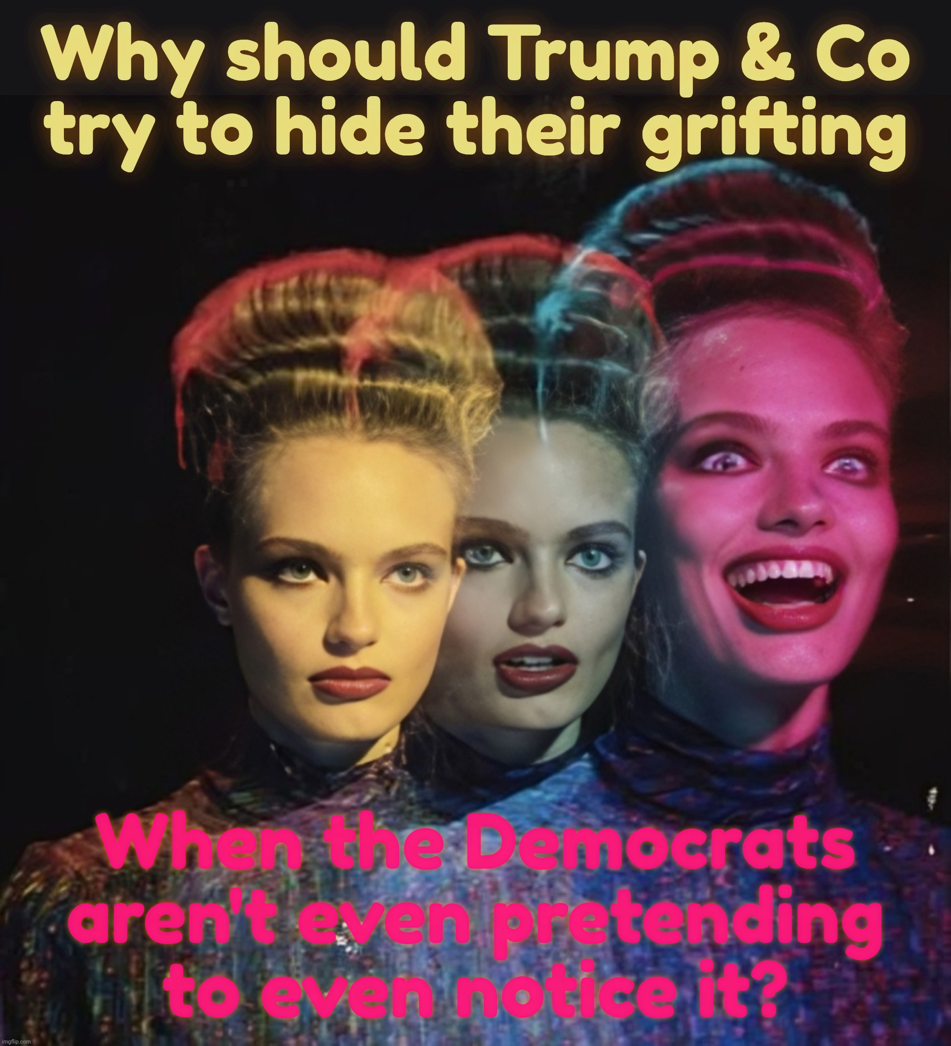 Hardy har har II | Why should Trump & Co
try to hide their grifting When the Democrats aren't even pretending to even notice it? | image tagged in hardy har har ii | made w/ Imgflip meme maker