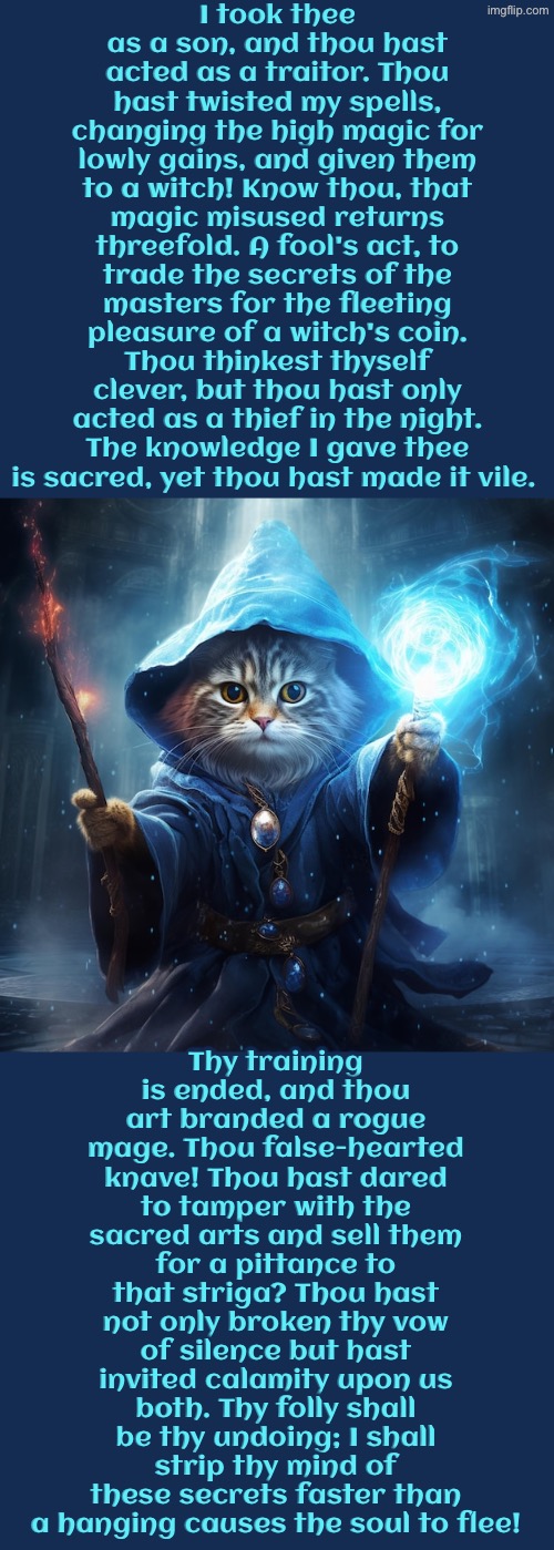 I Shall Strip Thy Mind Of These Secrets | I took thee as a son, and thou hast acted as a traitor. Thou hast twisted my spells, changing the high magic for lowly gains, and given them to a witch! Know thou, that magic misused returns threefold. A fool's act, to trade the secrets of the masters for the fleeting pleasure of a witch's coin. Thou thinkest thyself clever, but thou hast only acted as a thief in the night. The knowledge I gave thee is sacred, yet thou hast made it vile. Thy training is ended, and thou art branded a rogue mage. Thou false-hearted knave! Thou hast dared to tamper with the sacred arts and sell them for a pittance to that striga? Thou hast not only broken thy vow of silence but hast invited calamity upon us both. Thy folly shall be thy undoing; I shall strip thy mind of these secrets faster than a hanging causes the soul to flee! | image tagged in cats,medieval memes,wizards,witches,traitor,magic | made w/ Imgflip meme maker