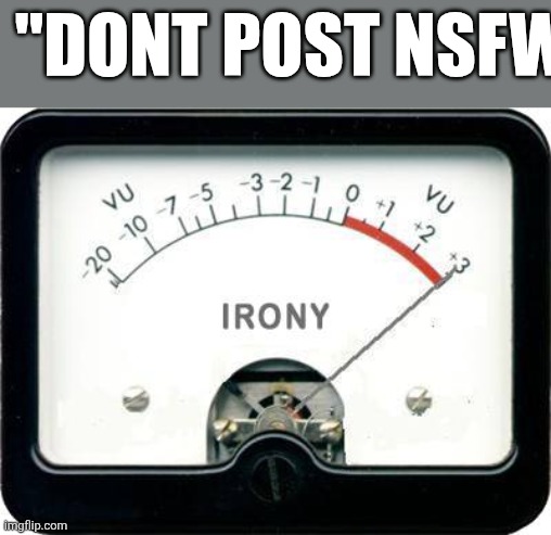 Irony Meter | "Dont post nsfw" | image tagged in irony meter | made w/ Imgflip meme maker