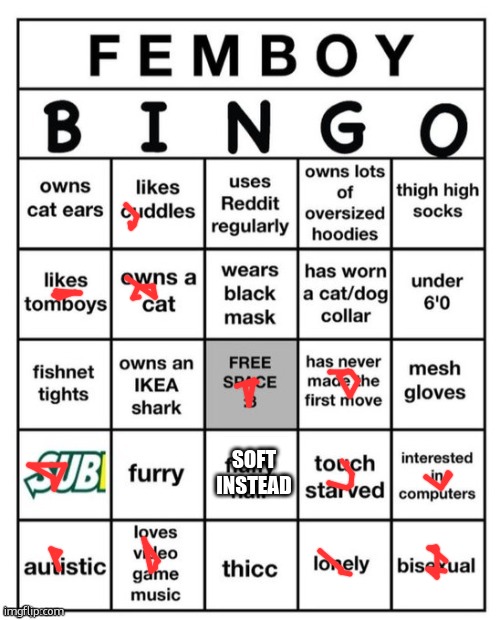 Femboy Bingo | soft instead | image tagged in femboy bingo | made w/ Imgflip meme maker
