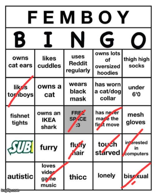 my hair is starting to grow back into being fluffy so :D | image tagged in femboy bingo | made w/ Imgflip meme maker