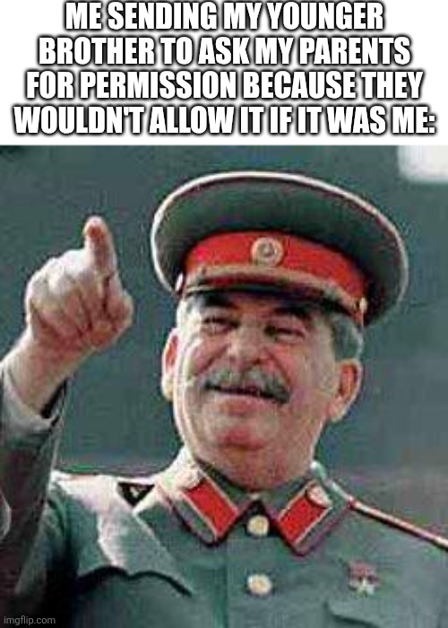 Always happened | Me sending my younger brother to ask my parents for permission because they wouldn't allow it if it was me: | image tagged in stalin says,brotherhood,siblings,sibling | made w/ Imgflip meme maker