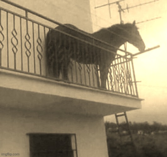 Juan | image tagged in juan | made w/ Imgflip meme maker