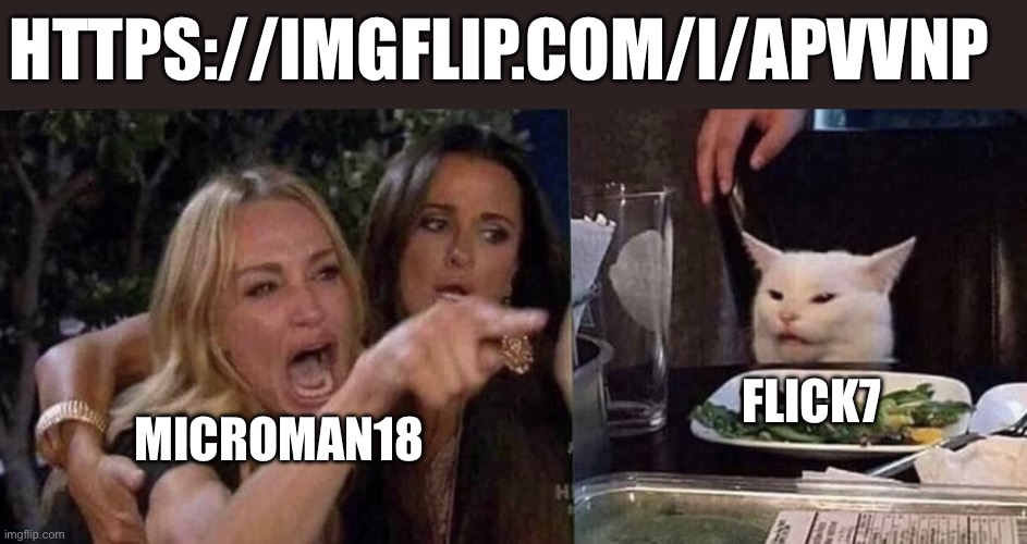 woman yelling at cat | https://imgflip.com/i/apvvnp; Flick7; Microman18 | image tagged in woman yelling at cat,flick7 | made w/ Imgflip meme maker