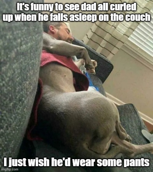 Sleeping Pops | It's funny to see dad all curled up when he falls asleep on the couch; I just wish he'd wear some pants | image tagged in doggo,dad,nap time,bottomless | made w/ Imgflip meme maker