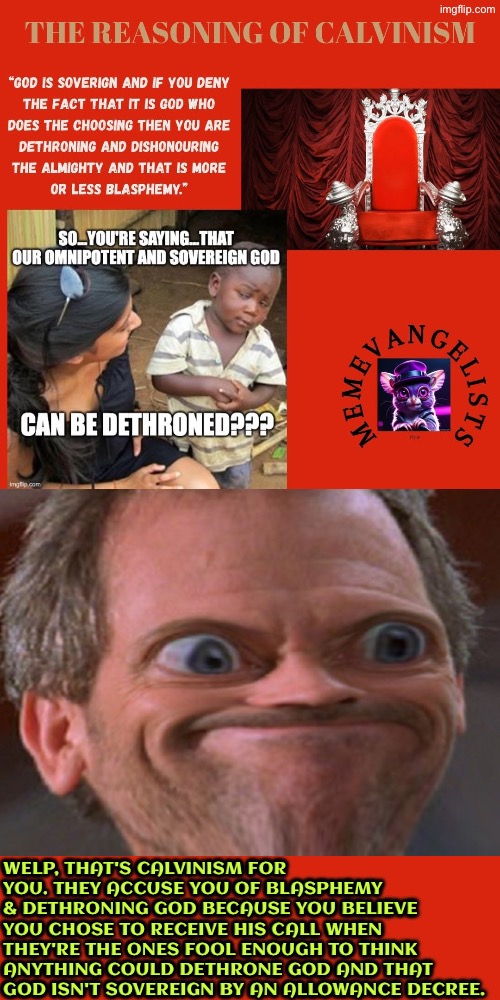 Welp That's Calvinism For Ya | Welp, that's Calvinism for you. They accuse you of blasphemy & dethroning God because you believe you chose to receive His call when they're the ones fool enough to think anything could dethrone God and that God isn't sovereign by an allowance decree. | image tagged in calvinism,calvinist memes,reformed theology,anti calvinism,hypocrites,reactions | made w/ Imgflip meme maker