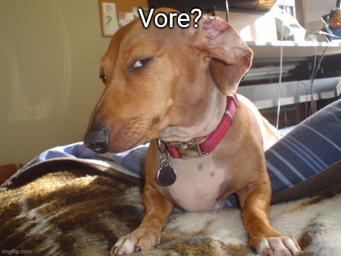 Suspicious Dog | Vore? | image tagged in suspicious dog | made w/ Imgflip meme maker