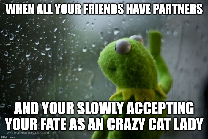 I WANT A BF OR GF OMG GRRR FJRHWADNHUMJFHTRTG | When all your friends have partners; And your slowly accepting your fate as an crazy cat lady | image tagged in kermit window,srry bout that gang,i get s bit quirky at night | made w/ Imgflip meme maker