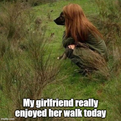 Good Girl | My girlfriend really enjoyed her walk today | image tagged in dog,girlfriend,walk,nature | made w/ Imgflip meme maker