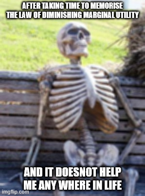Waiting Skeleton | AFTER TAKING TIME TO MEMORISE THE LAW OF DIMINISHING MARGINAL UTILITY; AND IT DOESNOT HELP ME ANY WHERE IN LIFE | image tagged in memes,waiting skeleton | made w/ Imgflip meme maker