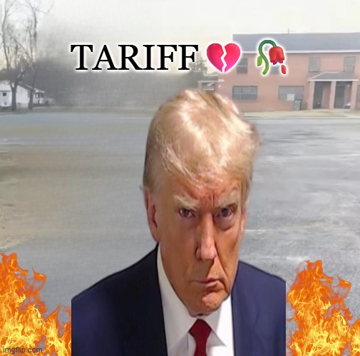 tariff | tariff💔🥀 | image tagged in blank sybau maker | made w/ Imgflip meme maker