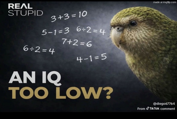 An iq too low Blank Meme Template