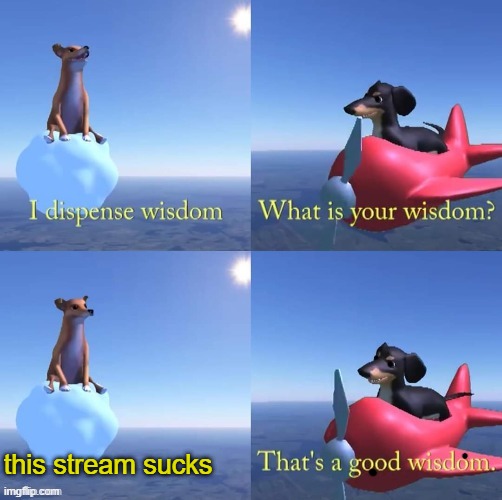 Wisdom dog | this stream sucks | image tagged in wisdom dog | made w/ Imgflip meme maker