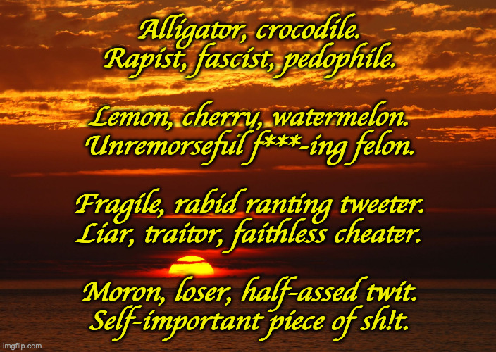 About a boy. | Alligator, crocodile.
Rapist, fascist, pedophile.
 
Lemon, cherry, watermelon.
Unremorseful f***-ing felon.
 
Fragile, rabid ranting tweeter.
Liar, traitor, faithless cheater.
 
Moron, loser, half-assed twit.
Self-important piece of sh!t. | image tagged in sunset deep thoughts,memes,about a boy | made w/ Imgflip meme maker