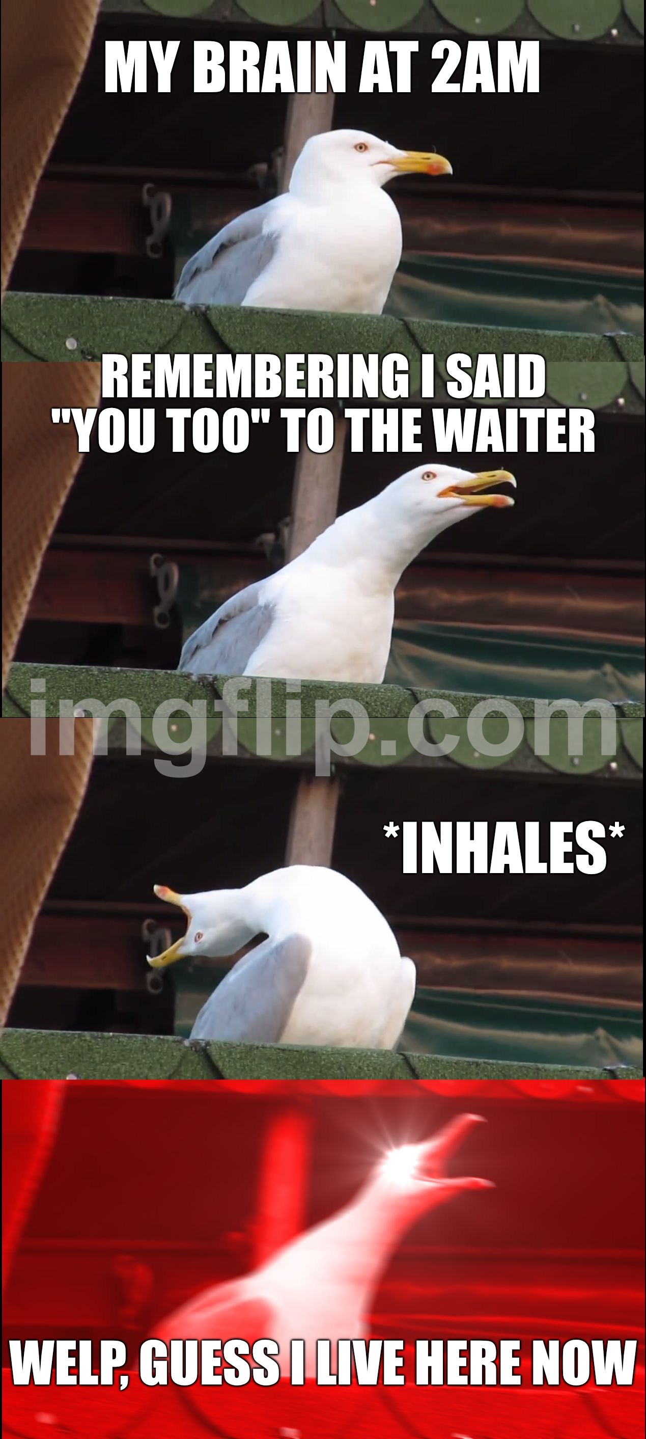MY BRAIN AT 2AM; REMEMBERING I SAID "YOU TOO" TO THE WAITER; *INHALES*; WELP, GUESS I LIVE HERE NOW | MY BRAIN AT 2AM; REMEMBERING I SAID "YOU TOO" TO THE WAITER; *INHALES*; WELP, GUESS I LIVE HERE NOW | image tagged in memes,inhaling seagull,remix,3am,scumbag brain,waiter | made w/ Imgflip meme maker